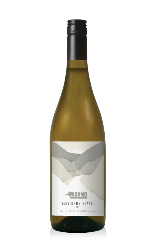 2023 Sauvignon Blanc