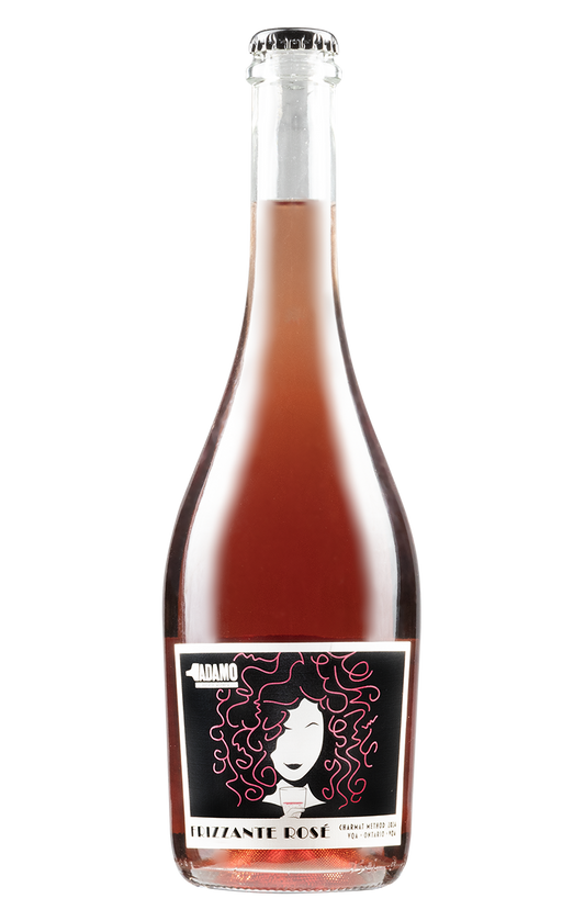 2024 Frizzante Rosé