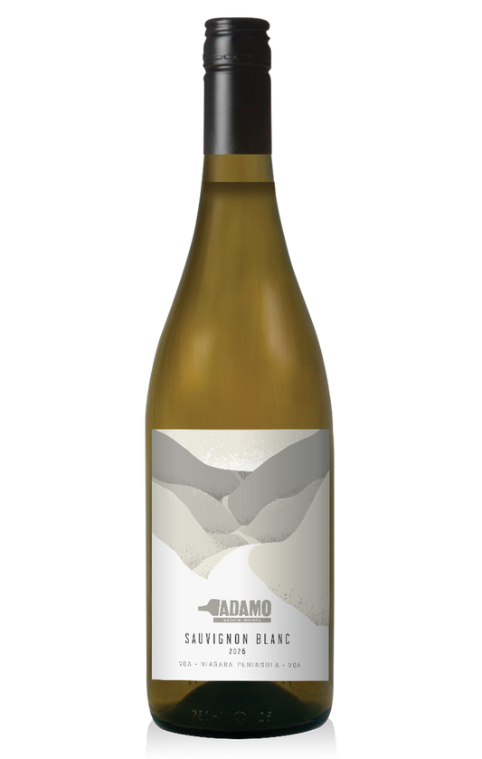 2025 Sauvignon Blanc